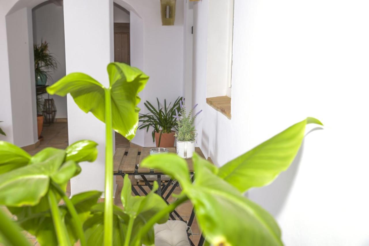 شقة Casa Arbonaida مْبيخير ذي لا فرونتيرا المظهر الخارجي الصورة